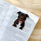 Black Pit Bull Magnetic Bookmark