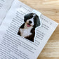 Bernedoodle Black White Magnetic Bookmark