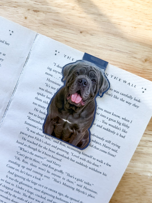 Gray Neapolitan Mastiff Magnetic Bookmark