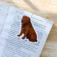 Brown Shar Pei Puppy Magnetic Bookmark