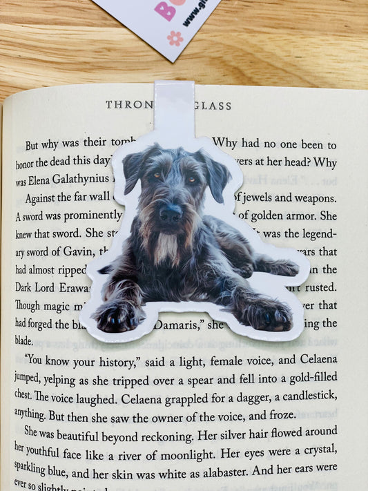 Gray Schnauzer Magnetic Bookmark
