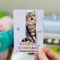 Tortoise Cat Magnetic Bookmark