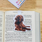 Irish Setter Magnetic Bookmark