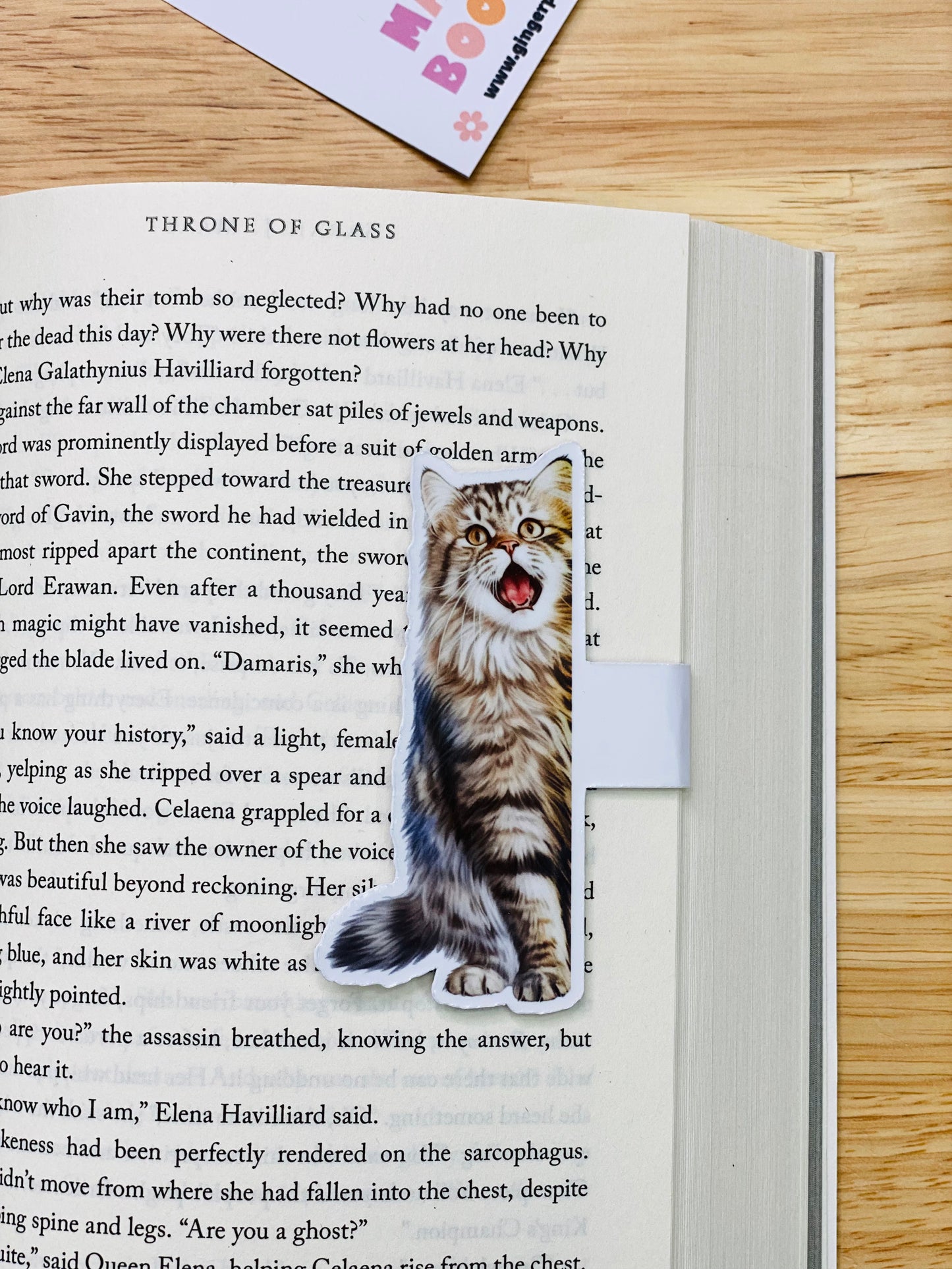 Tortoise Cat Magnetic Bookmark