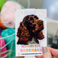 Brown Springer Spaniel Magnetic Bookmark