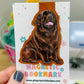 Brown Newfoundland Magnetic Bookmark