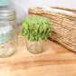 Reversible Jar Cover Vintage Mauve Wildflower