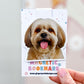 Lhasa Apso Magnetic Bookmark