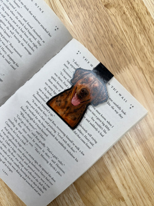 Catahoula  Magnetic Bookmark