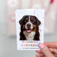 Bernese Mountain Dog Magnetic Bookmark