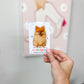 Pomeranian Magnetic Bookmark
