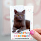 Gray Short Hair Cat Magnetic Bookmark