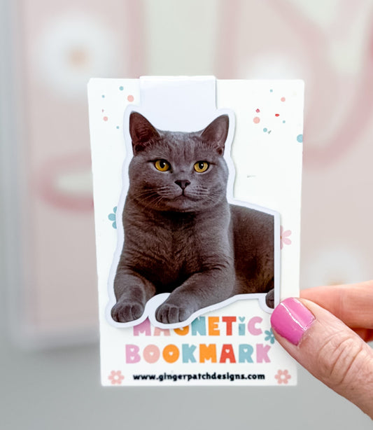 Gray Short Hair Cat Magnetic Bookmark