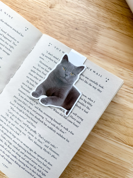 Gray Short Hair Cat Magnetic Bookmark