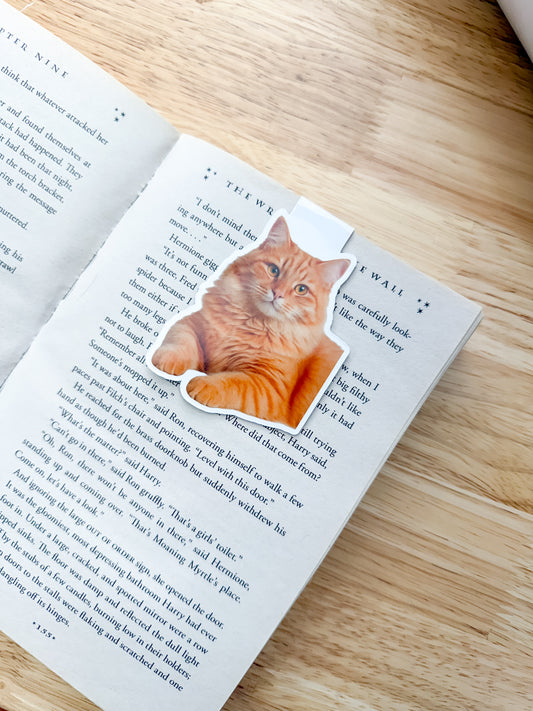 Orange Long Hair Cat Magnetic Bookmark