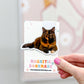 Tortoise Cat Magnetic Bookmark