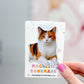Short Hair Cat Magnetic Bookmark