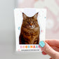 Maine Coon Cat Magnetic Bookmark