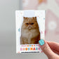 Cream Persian Cat Magnetic Bookmark