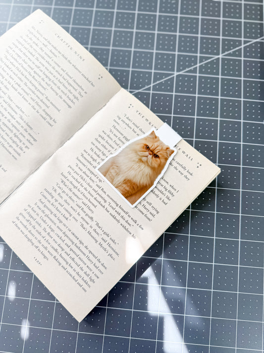Cream Persian Cat Magnetic Bookmark