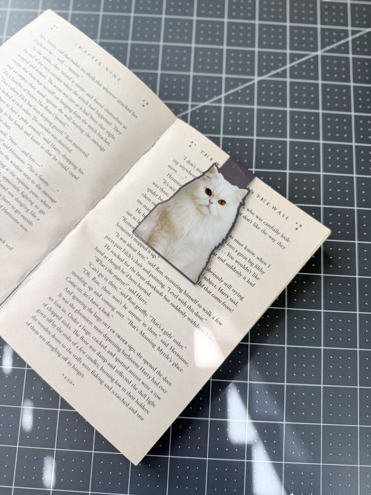 White Persian Cat Magnetic Bookmark
