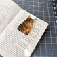 Maine Coon Cat Magnetic Bookmark