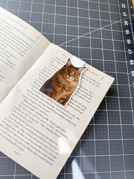 Maine Coon Cat Magnetic Bookmark