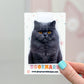 Gray Persian Cat Magnetic Bookmark