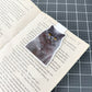 Gray Persian Cat Magnetic Bookmark