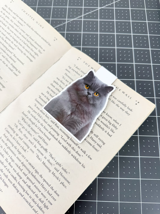 Gray Persian Cat Magnetic Bookmark