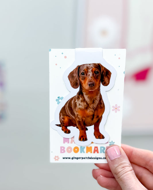 Dapple Dachshund Magnetic Bookmark